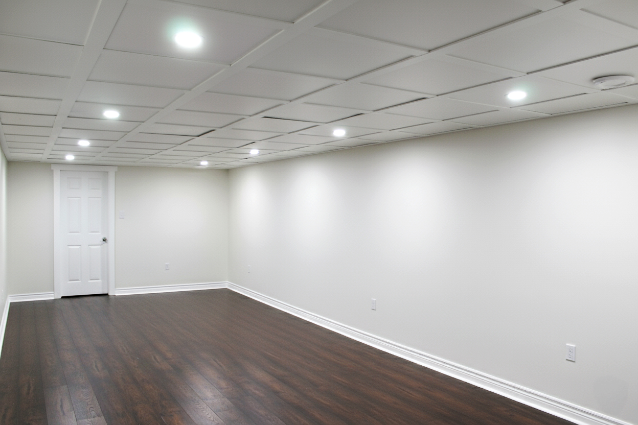 Basement project — photo two